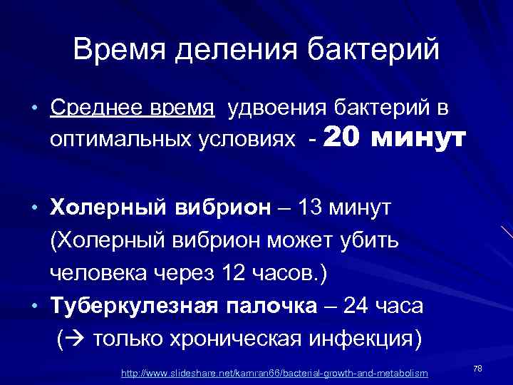 Время деления бактерий • Среднее время удвоения бактерий в оптимальных условиях - 20 минут