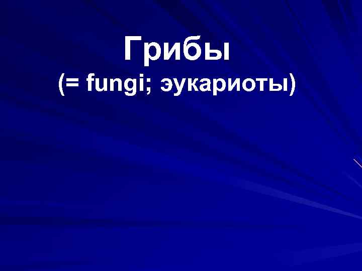 Грибы (= fungi; эукариоты) 