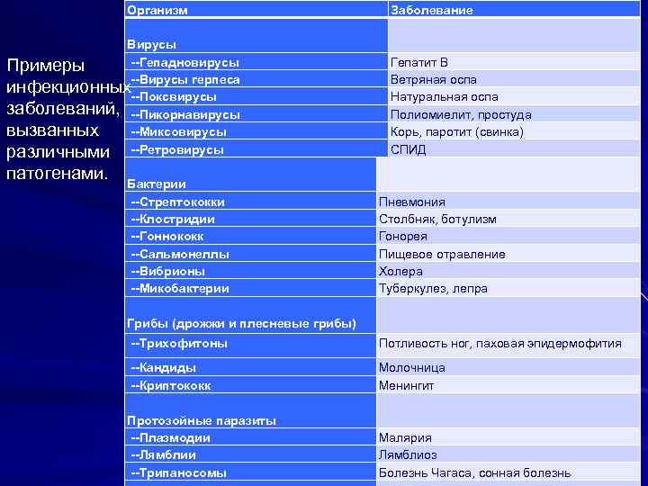 Организм Вирусы --Гепадновирусы Примеры --Вирусы герпеса инфекционных --Поксвирусы заболеваний, --Пикорнавирусы вызванных --Миксовирусы различными --Ретровирусы