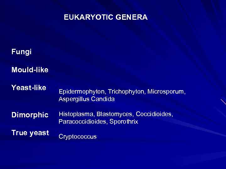 EUKARYOTIC GENERA Fungi Mould-like Yeast-like Dimorphic True yeast Epidermophyton, Trichophyton, Microsporum, Aspergillus Candida Histoplasma,