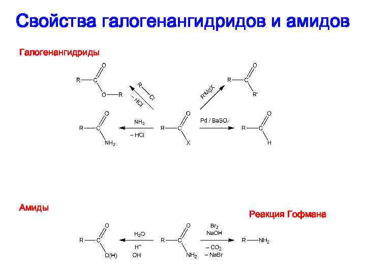 Свойства галогенангидридов и амидов Галогенангидриды Амиды Реакция Гофмана 