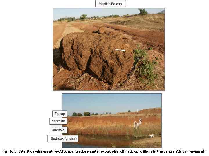 Fig. 10. 3. Lateritic (sub)recent Fe–Al concentrations under subtropical climatic conditions in the central