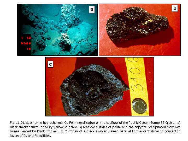 Fig. 11. 01. Submarine hydrothermal Cu-Fe mineralization on the seafloor of the Pacific Ocean