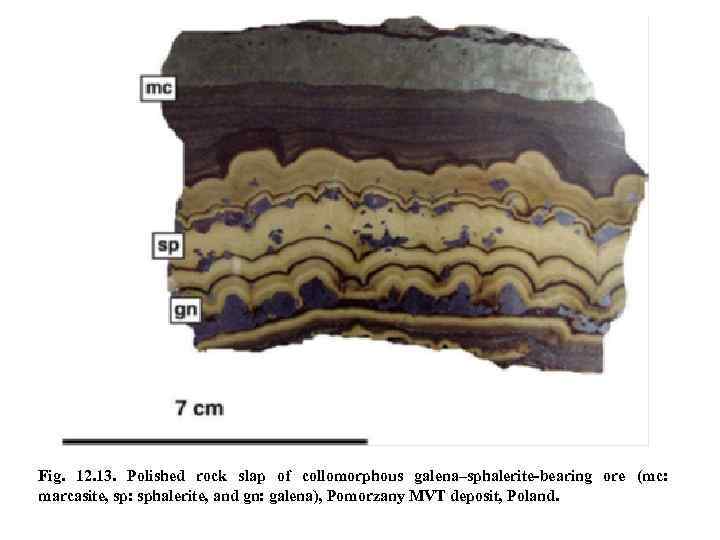 Fig. 12. 13. Polished rock slap of collomorphous galena–sphalerite-bearing ore (mc: marcasite, sp: sphalerite,