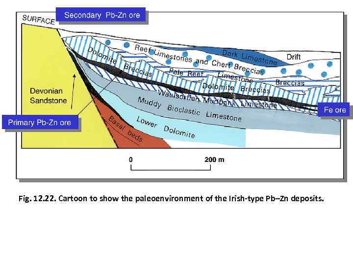 Fig. 12. 22. Cartoon to show the paleoenvironment of the Irish-type Pb–Zn deposits. 