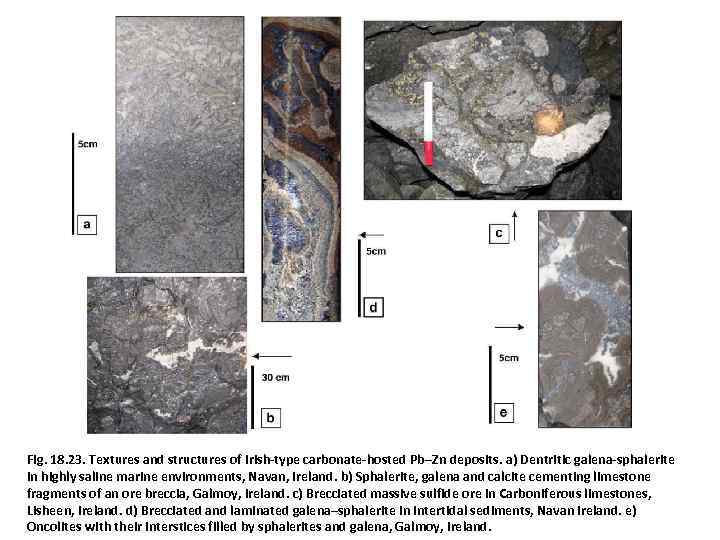 Fig. 18. 23. Textures and structures of Irish-type carbonate-hosted Pb–Zn deposits. a) Dentritic galena-sphalerite
