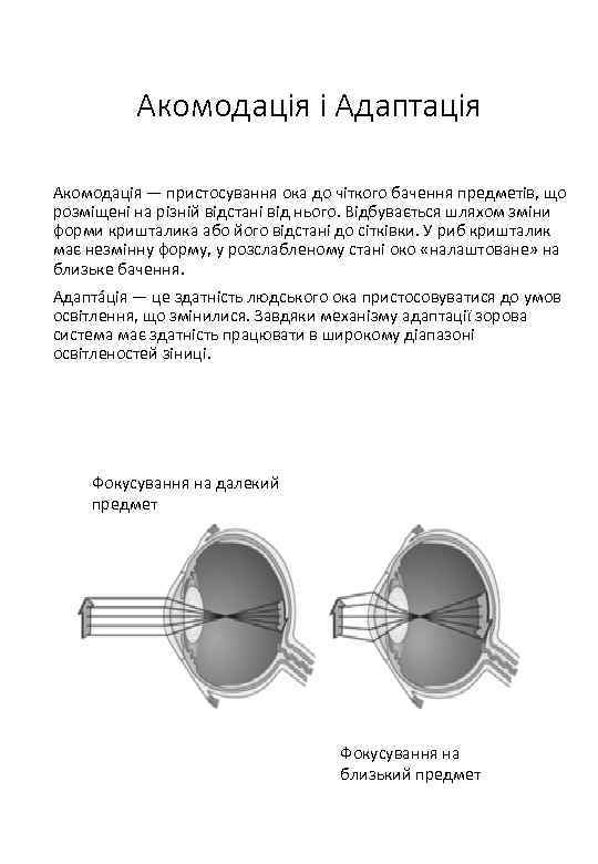 Акомодація і Адаптація Акомодація — пристосування ока до чіткого бачення предметів, що розміщені на