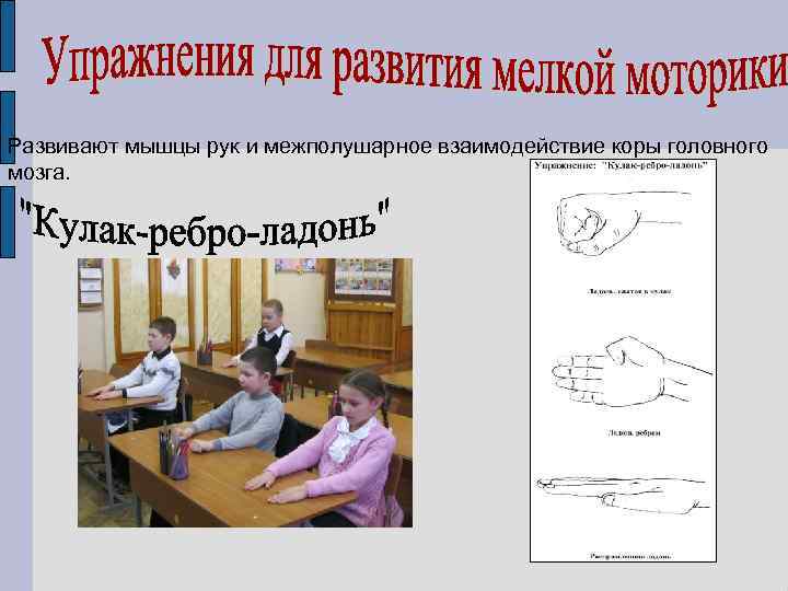 Развивают мышцы рук и межполушарное взаимодействие коры головного мозга. 