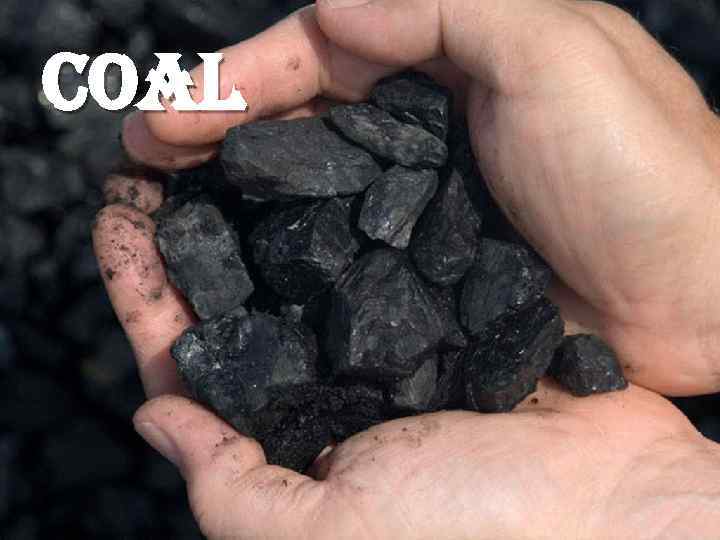 coal 