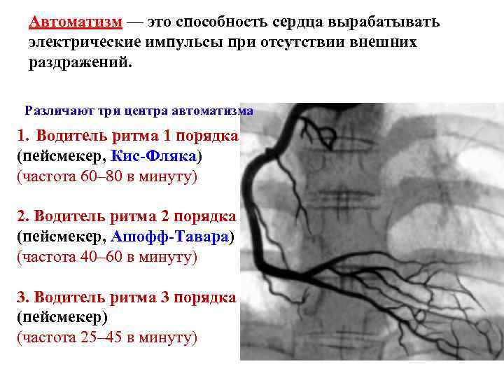 Способность сердце из стали фоллаут 4