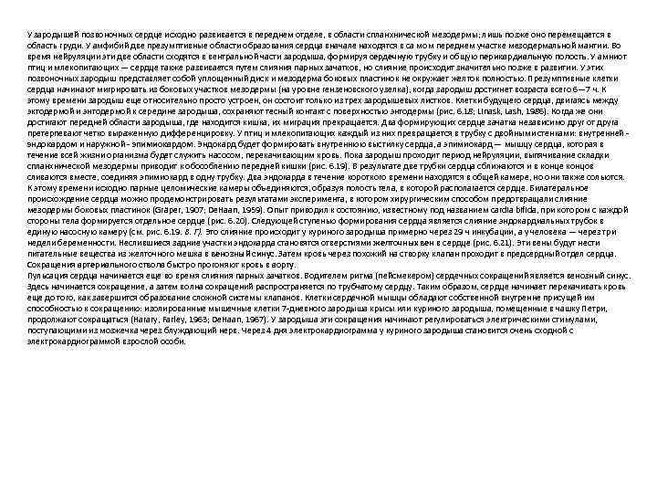 У зародышей позвоночных сердце исходно развивается в переднем отделе, в области спланхнической мезодермы; лишь