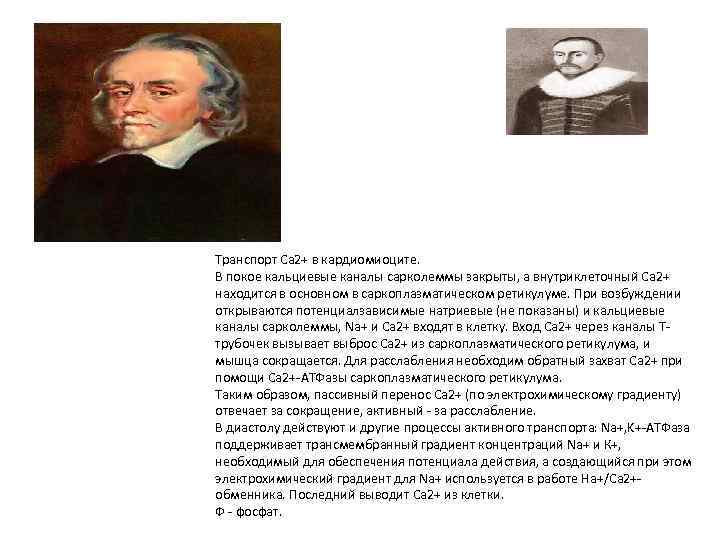 Транспорт Са 2+ в кардиомиоците. В покое кальциевые каналы сарколеммы закрыты, а внутриклеточный Са