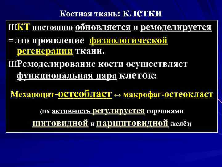 Костная ткань: клетки ШКТ постоянно обновляется и ремоделируется = это проявление физиологической регенерации ткани.