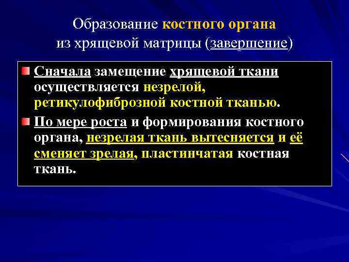 Образование костного органа из хрящевой матрицы (завершение) Сначала замещение хрящевой ткани осуществляется незрелой, ретикулофиброзной