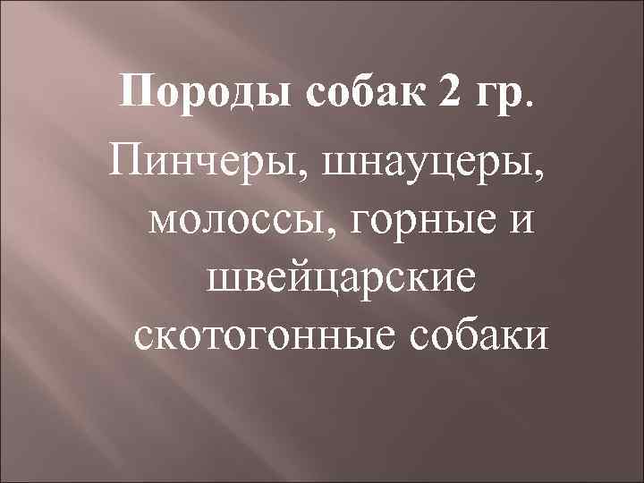 Породы собак 2 гр. Пинчеры, шнауцеры, молоссы, горные и швейцарские скотогонные собаки 