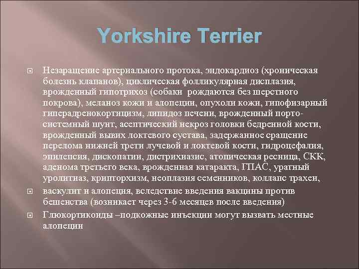 Yorkshire Terrier Незаращение артериального протока, эндокардиоз (хроническая болезнь клапанов), циклическая фолликулярная дисплазия, врожденный гипотрихоз