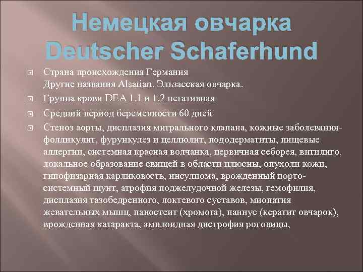 Немецкая овчарка Deutscher Schaferhund Страна происхождения Германия Другие названия Alsatian. Эльзасская овчарка. Группа крови