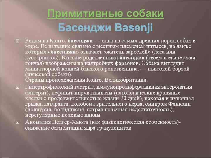 Примитивные собаки Басенджи Basenji Родом из Конго, басенджи — одна из самых древних пород