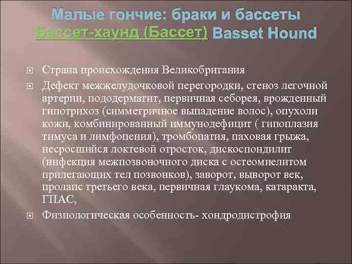 Малые гончие: браки и бассеты Бассет-хаунд (Бассет) Basset Hound Страна происхождения Великобритания Дефект межжелудочковой