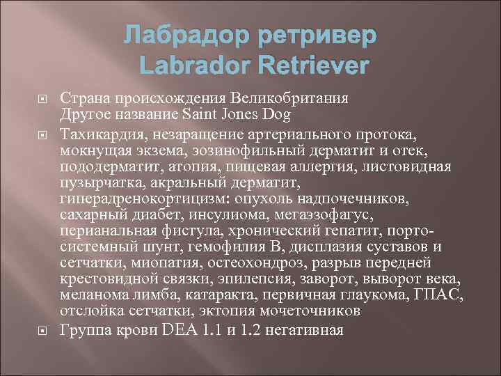 Лабрадор ретривер Labrador Retriever Страна происхождения Великобритания Другое название Saint Jones Dog Тахикардия, незаращение