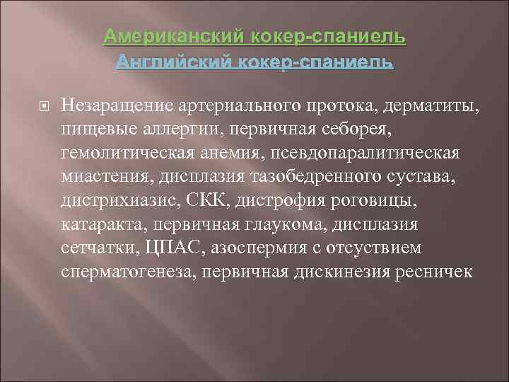 Американский кокер-спаниель Английский кокер-спаниель Незаращение артериального протока, дерматиты, пищевые аллергии, первичная себорея, гемолитическая анемия,