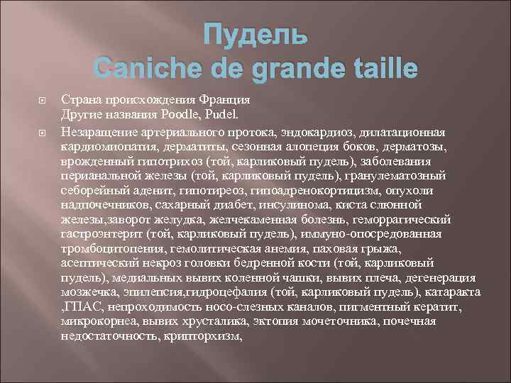 Пудель Caniche de grande taille Страна происхождения Франция Другие названия Poodle, Pudel. Незаращение артериального