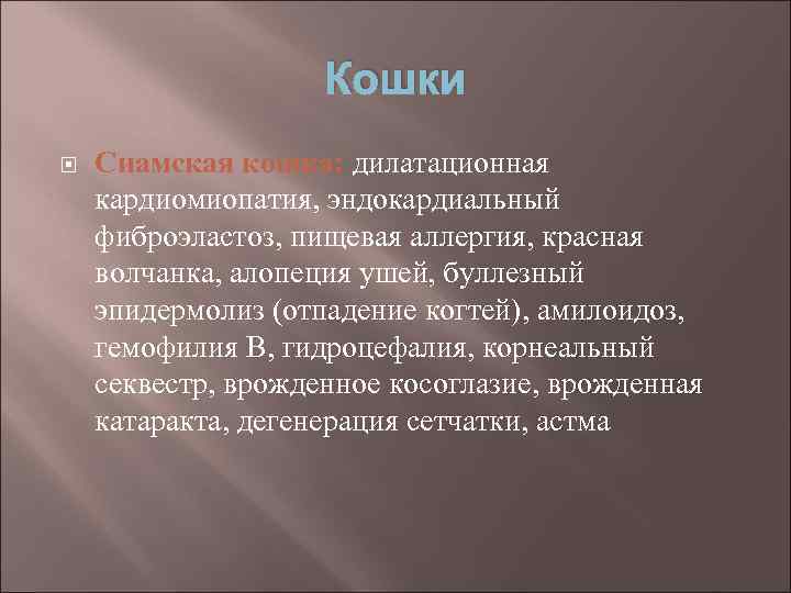 Кошки Сиамская кошка: дилатационная кардиомиопатия, эндокардиальный фиброэластоз, пищевая аллергия, красная волчанка, алопеция ушей, буллезный