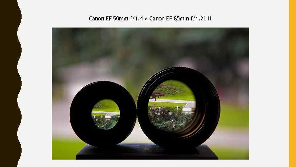 Canon EF 50 mm f/1. 4 и Canon EF 85 mm f/1. 2 L