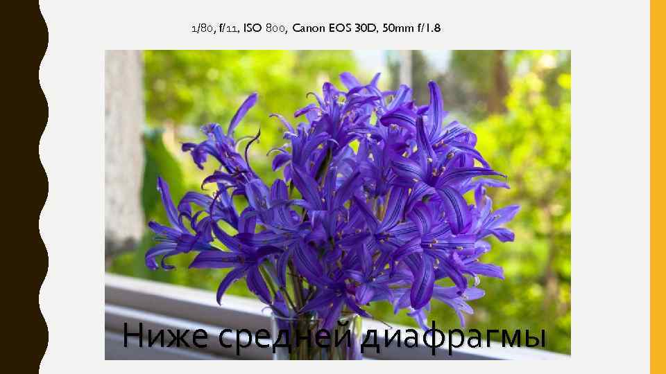 1/80, f/11, ISO 800, Canon EOS 30 D, 50 mm f/1. 8 Ниже средней