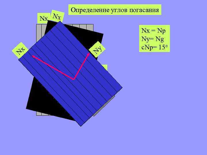 Определение углов погасания Nx Nx Nx N g N p Ny Ny Ny Nx