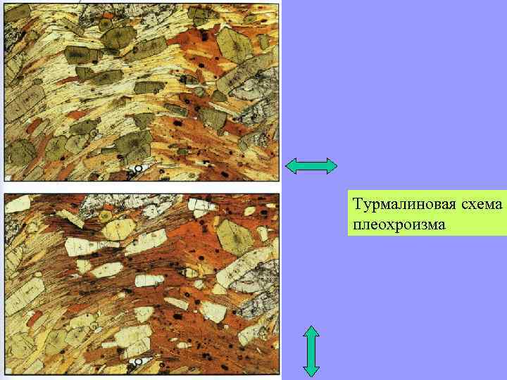 Турмалиновая схема плеохроизма 