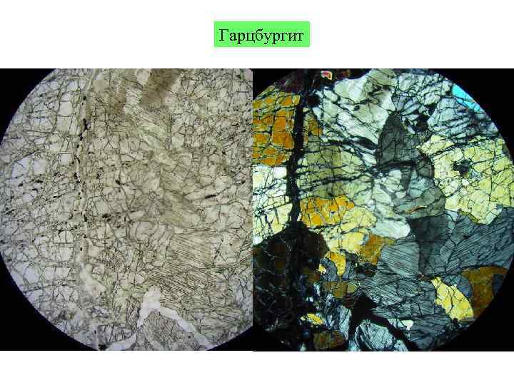 Гарцбургит 