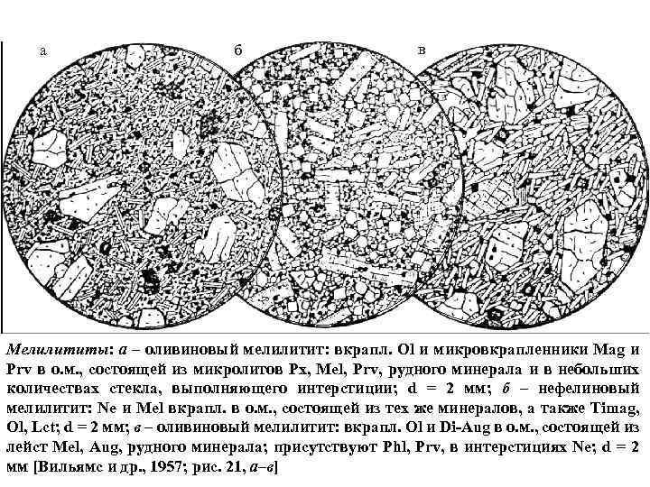 а б в Мелилититы: а – оливиновый мелилитит: вкрапл. Ol и микровкрапленники Mag и