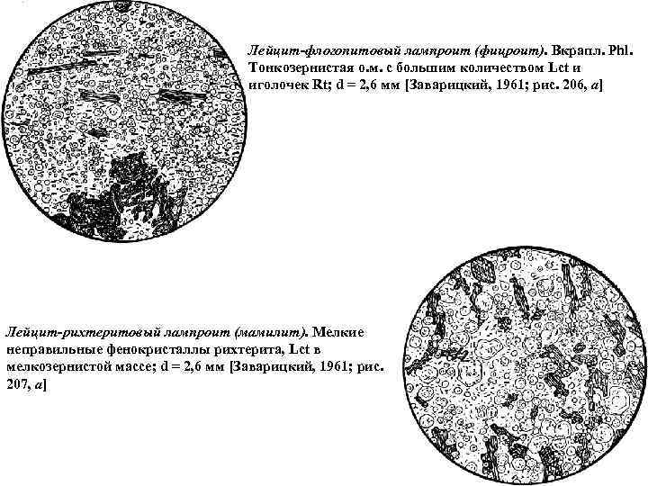 Лейцит-флогопитовый лампроит (фицроит). Вкрапл. Phl. Тонкозернистая о. м. с большим количеством Lct и иголочек