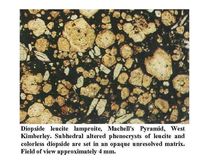 Diopside leucite lamproite, Machell's Pyramid, West Kimberley. Subhedral altered phenocrysts of leucite and colorless