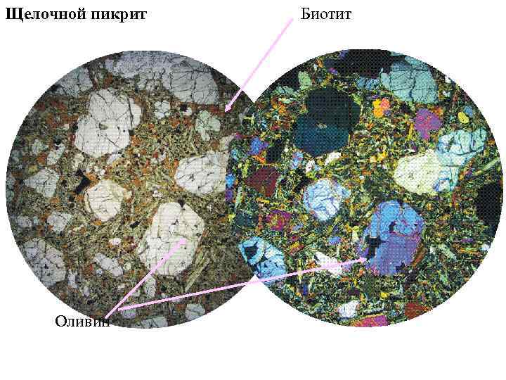 Щелочной пикрит Оливин Биотит 