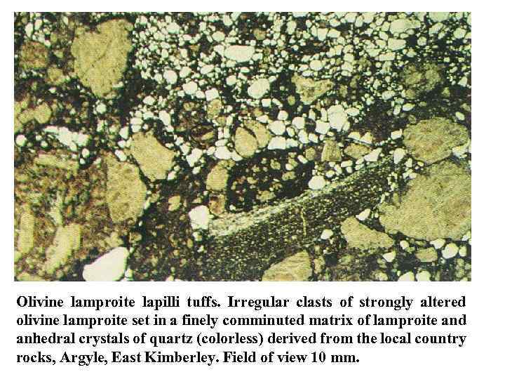 Olivine lamproite lapilli tuffs. Irregular clasts of strongly altered olivine lamproite set in a