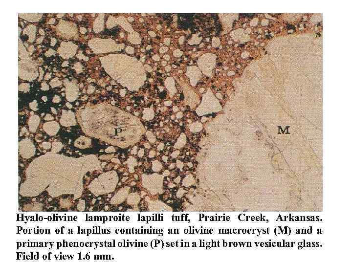 Hyalo olivine lamproite lapilli tuff, Prairie Creek, Arkansas. Portion of a lapillus containing an