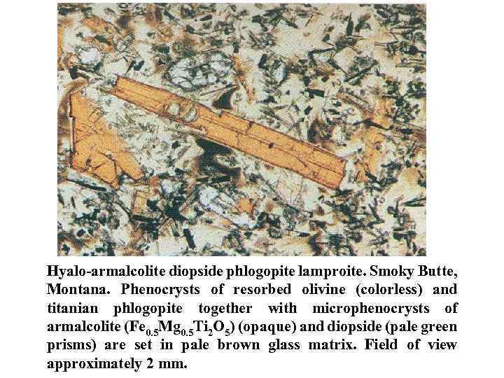 Hyalo armalcolite diopside phlogopite lamproite. Smoky Butte, Montana. Phenocrysts of resorbed olivine (colorless) and