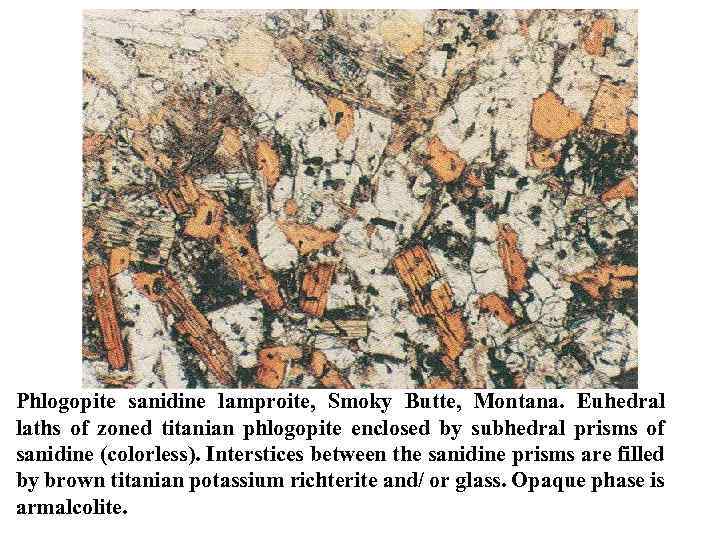 Phlogopite sanidine lamproite, Smoky Butte, Montana. Euhedral laths of zoned titanian phlogopite enclosed by