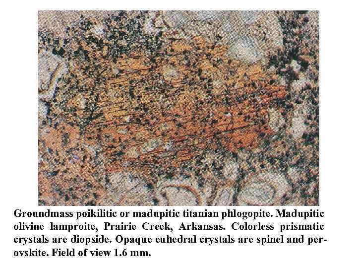 Groundmass poikilitic or madupitic titanian phlogopite. Madupitic olivine lamproite, Prairie Creek, Arkansas. Colorless prismatic