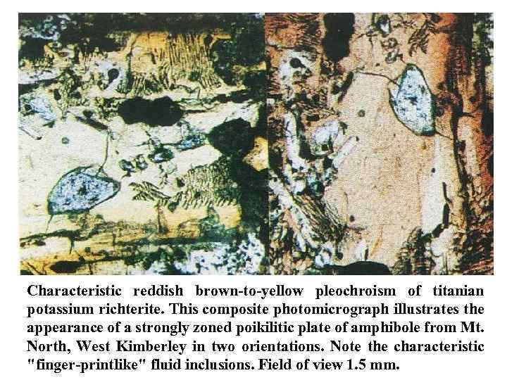 Characteristic reddish brown to yellow pleochroism of titanian potassium richterite. This composite photomicrograph illustrates