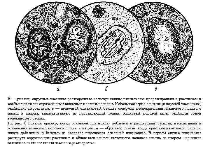 б — риолит, округлые частично растворенные ксенокристаллы плагиоклаза прореагировали с расплавом и окаймлены вновь