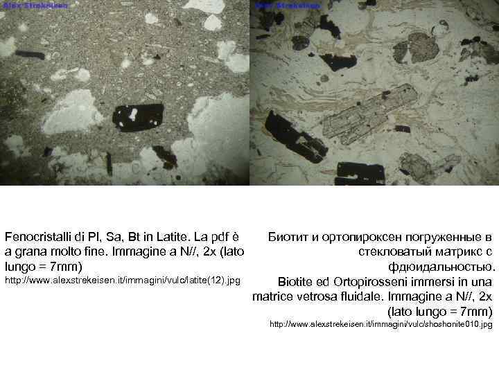 Fenocristalli di Pl, Sа, Bt in Latite. La pdf è a grana molto fine.