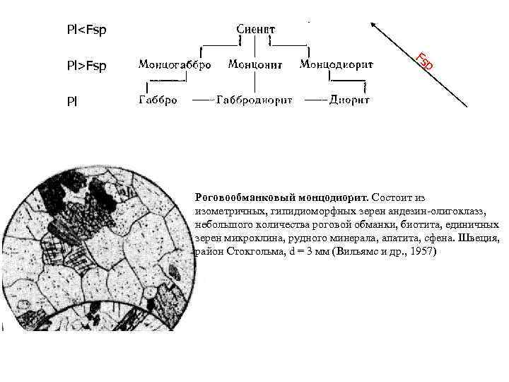 Pl<Fsp Pl>Fsp Fs p Pl Роговообманковый монцодиорит. Состоит из изометричных, гипидиоморфных зерен андезин-олигоклазз, небольшого