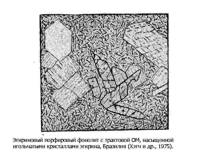 Эгириновый порфировый фонолит с трахтовой ОМ, насыщенной игольчатыми кристаллами эгирина, Бразилия (Хэтч и др.