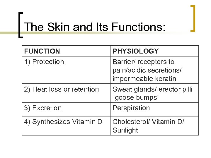 The Skin and Its Functions: FUNCTION PHYSIOLOGY 1) Protection Barrier/ receptors to pain/acidic secretions/