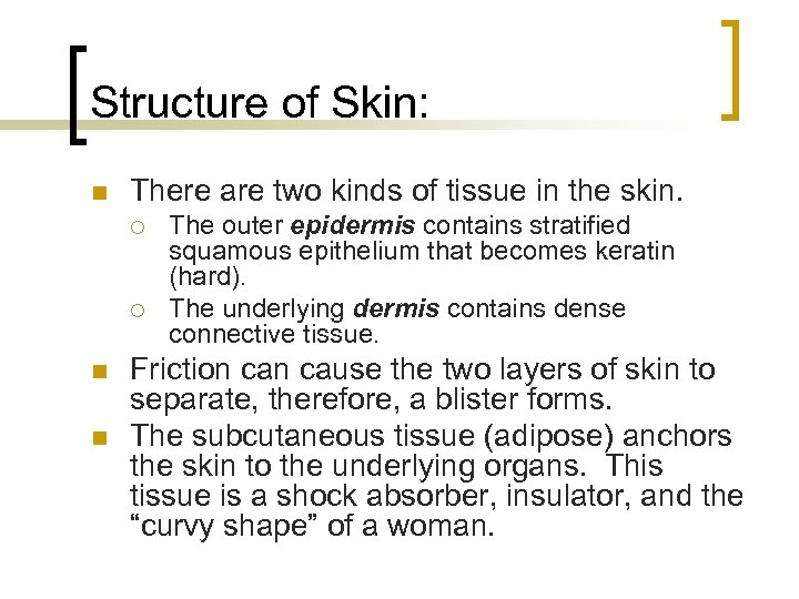 Structure of Skin: n There are two kinds of tissue in the skin. ¡