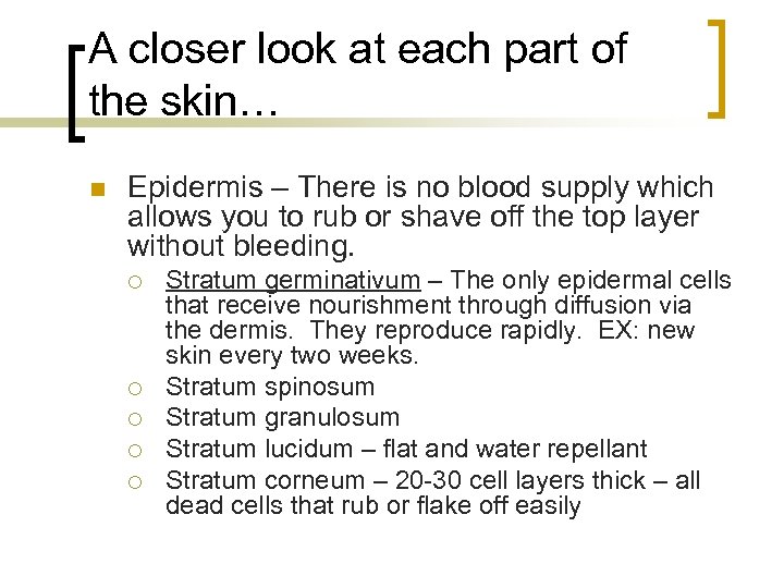 A closer look at each part of the skin… n Epidermis – There is