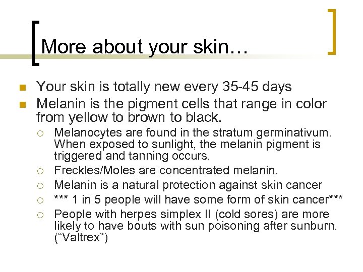 More about your skin… n n Your skin is totally new every 35 -45